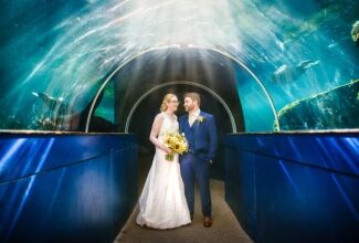 Bristol-Zoo-Wedding-Photography_11 Bristol Zoo Wedding Photography
