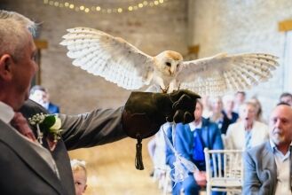 Wedding_Photography_at_Folly_Farm_Centre_14 Owl flying down aisle with rings wedding photography Bristol